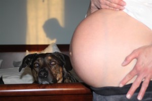Mr. Cody & Corey's very pregnant belly