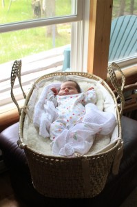Sophia naps in her Moses basket